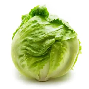 Lettuce Iceberg Each
