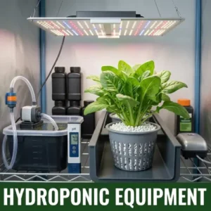 Hydroponic Equipments
