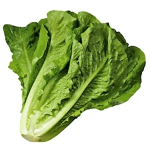Lettuce Cos Each