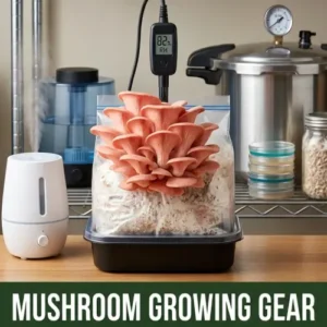 Mushroom Growing Gear