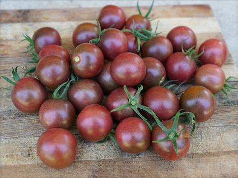 Tomato-Black-Cherry