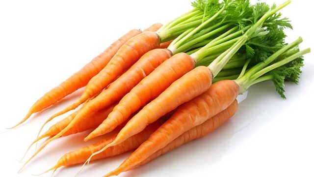 carrot-baby-amsterdam-vegetable-seeds