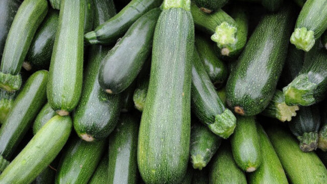 zucchini